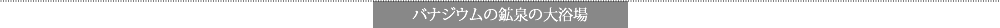 バナジウム鉱泉の大浴場